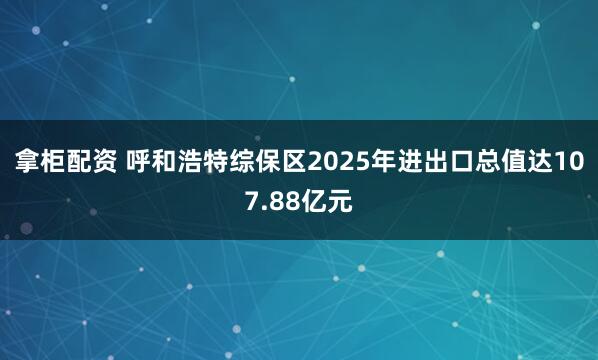 拿柜配资 呼和浩特综保区2025年进出口总值达107.88亿元