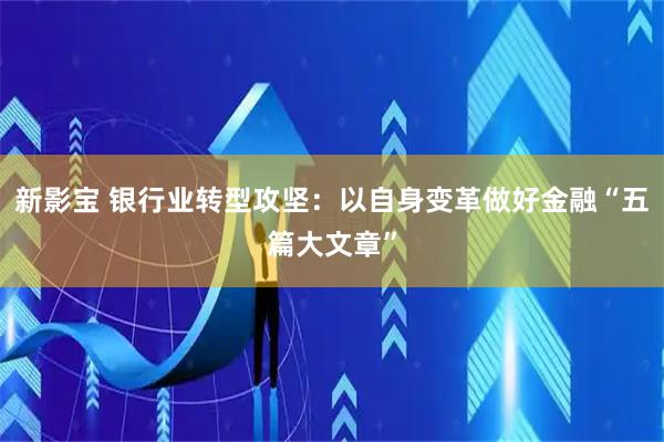 新影宝 银行业转型攻坚：以自身变革做好金融“五篇大文章”