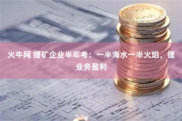 火牛网 锂矿企业半年考：一半海水一半火焰，锂业务盈利