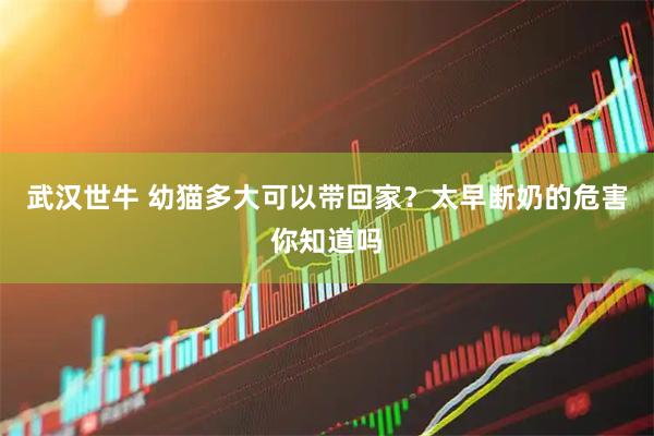 武汉世牛 幼猫多大可以带回家？太早断奶的危害你知道吗